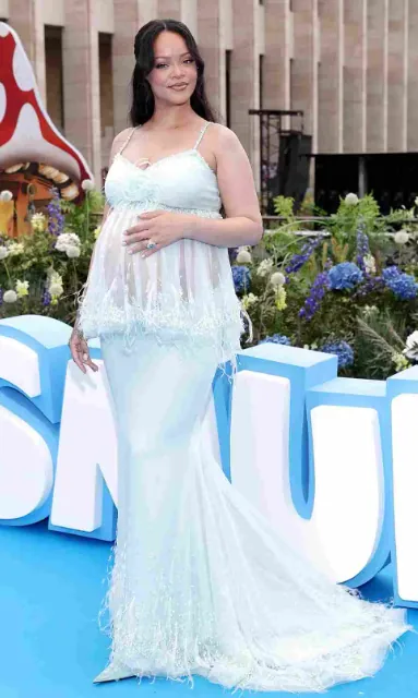 Rihanna's Sheer Feathered Outfit